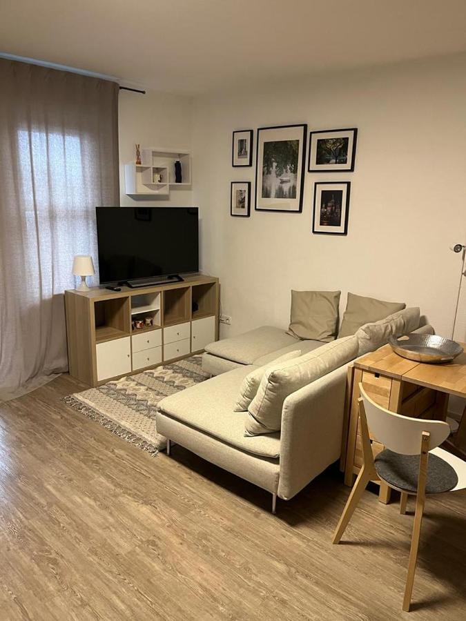 1 Zimmer Wohnung Mit Der Terrasse In Der Innenstadt Висбаден Экстерьер фото